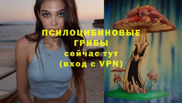гидропоника Алзамай
